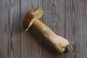 Edible boletus mushrooms. Vegetarian food. Food rich in protein and fiber.