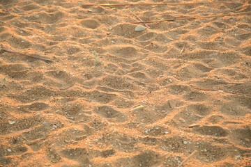 Golden sand early in the morning in the rays of the dawn sun.
