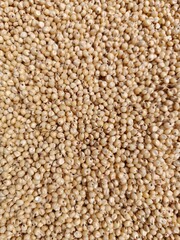 Jawar or sorghum Seed background 
