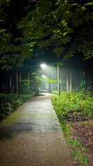 night park with lanterns
