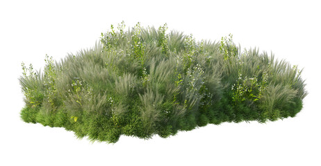 Small garden with many plants and flowers on transparent background © jomphon