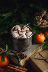 Mug of hot chocolate with marshmallows