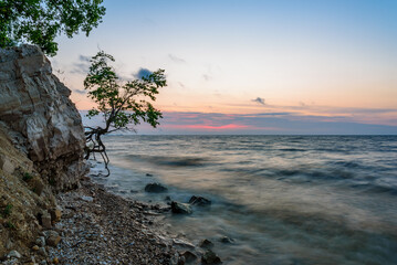 Tree on the rocky shore at sunrise