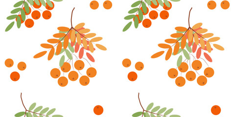 Autumn seamless pattern. branch of rowan berries. Vector flat illustration.