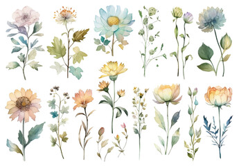 Fototapeta Vector watercolor painted flowers. Hand drawn flower design elements isolated on white background. obraz