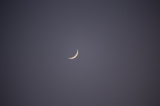 Mond