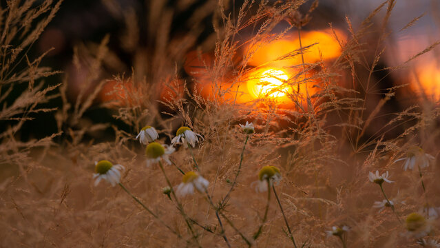 Abendrot