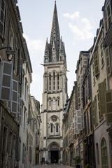 Fototapeta na wymiar Chuch of Saint Martin in the French city of Pau, Nouvelle-Acquitaine