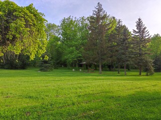 Green spring park and meadow with summer-house