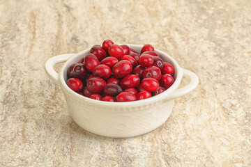 Ripe sweet tasty cranberry in the bowl