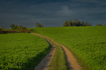 Summer path between green fields near Vysoke nad Jizerou town
