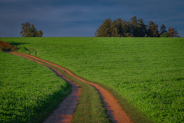 Summer path between green fields near Vysoke nad Jizerou town