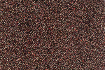Dried amaranth seeds background, closeup. Green mood.