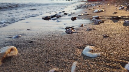 stones on the beach