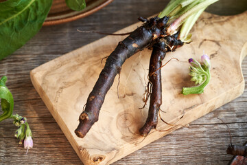 Comfrey or knitbone root on a table