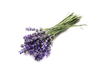 Fototapeta premium Bunch of beautiful lavender flowers on white background