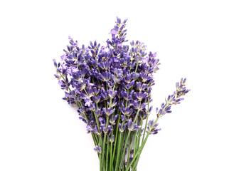 Bunch of beautiful lavender flowers on white background, closeup