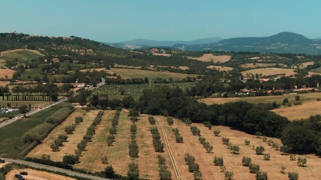 Aerial of countryside vineyard in Tuscany, Italy 