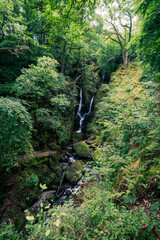 Long exposure of Stock Ghyll Force, stream in a forest, near Ambleside, The Lake District, UK 