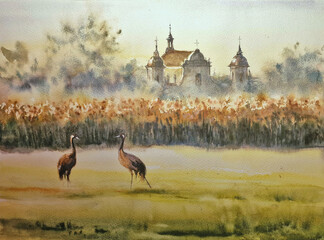 Late summer rural landscape with cranes on a meadow and architecture in background. Tykocin, Poland. Picture created with watercolors. - 646974564