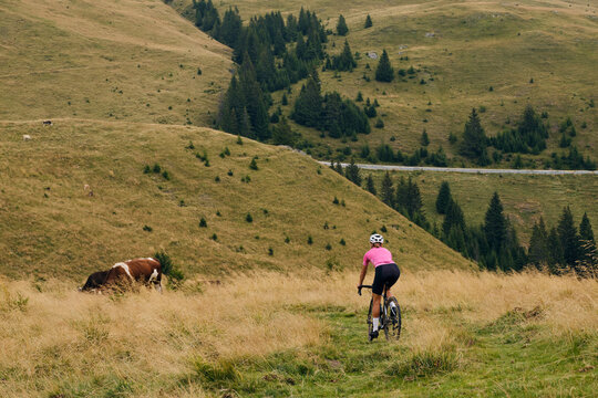Woman cyclist in cycling kit and helmet riding a gravel bicycle on mountain road.Sportswoman cycling in the beautiful natural surroundings. Cyclist practicing on gravel road.Bucegi Mountains, Romania.
