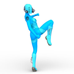 サイバーウーマン