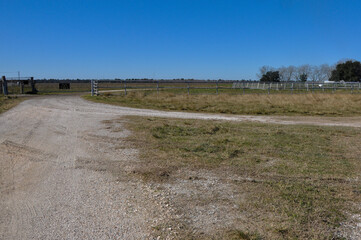 Gravel road leading through a picturesque cattle farm.