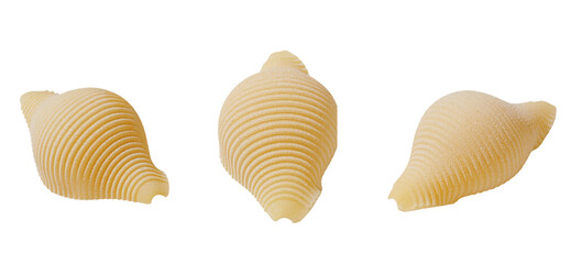 Pasta conchiglie noodle isolated on white, close up