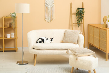 Interior of light living room with cute cat on sofa