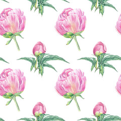 Watercolor seamless pattern peony, rose hand-drawn in botanical style for use in textile, wedding packaging, holiday and nature design invitation. Daisy flower for decorating cards, wallpaper, fabric