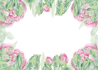 Watercolor frame, border pink peonys hand-drawn in botanical style for use in presentation, wedding, holiday and nature design invitation. Daisy flower for decorating cards, gift wrapping, posters