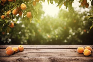 Empty rustic old wooden boards table copy space with apricot or peach trees in fruit orchard background. Some fruits on desk. Product display template. Generative AI - obrazy, fototapety, plakaty