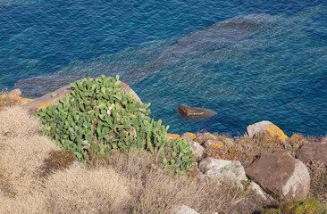 Aerial view of Mediterranean bushes and rocks over Sardinian sea Rena Majore