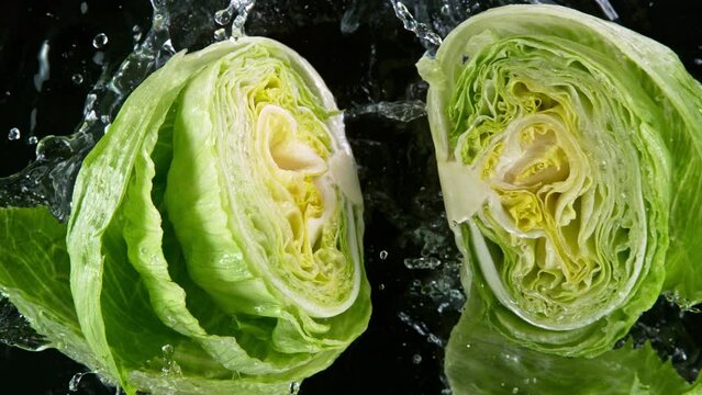 Super slow motion of raw salad head with water splash. Filmed on high speed cinema camera, 1000 fps. Isolated on black background.