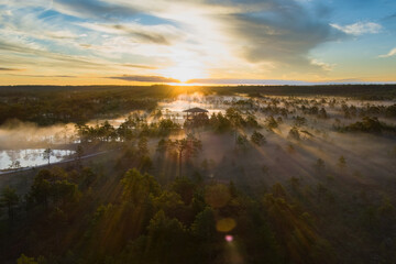 Viru swamp at sunrise on a foggy morning, shot from a drone.