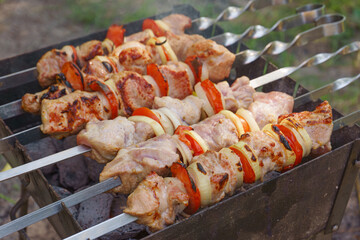 Grilled pieces of meat on skewers, shish kebab with vegetables, cooking process on fire, on brazier. Roasted marinated meat cooked at barbecue, picnic in summer day.