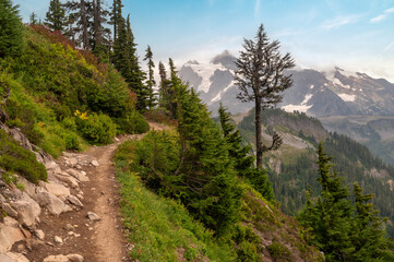 Fototapeta na wymiar Alpine Wilderness in the Mt. Baker National Forest. Beautiful mountain and forest and valley views along the Ptarmigan Ridge Trail high in the North Cascade mountains of Washington state.