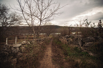 Rural road on an autumn day. Autumn road through a rural field with dirt road. Landscape with wheel tracks on a muddy field in autumn in cloudy weather in off-road terrain. Dramatic style.