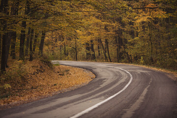 Fototapeta premium Rural road on an autumn day. Autumn road through a rural field with dirt road. Landscape with wheel tracks on a muddy field in autumn in cloudy weather in off-road terrain. Dramatic style.