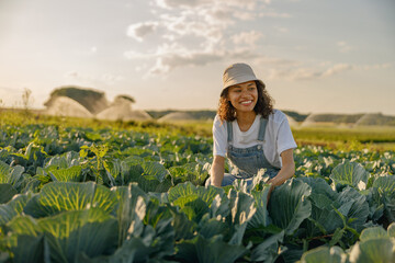 Smiling female farmer in uniform working in cabbage field during harvest. Agricultural activity
