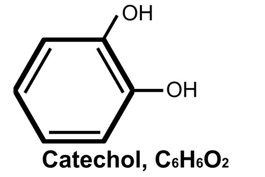 Chemical structure of Catechol (C6H6O2),