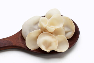 White jelly mushroom or white ear mushroom