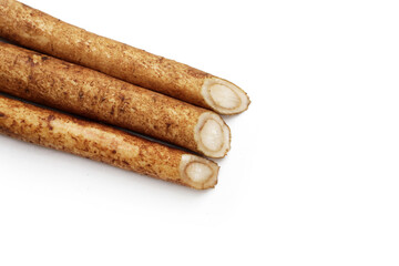 Burdock Root (Gobo) on white background.