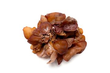 Black fungus mushroom on white background.