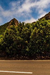 Paisaje en la Isla de la Gomera.