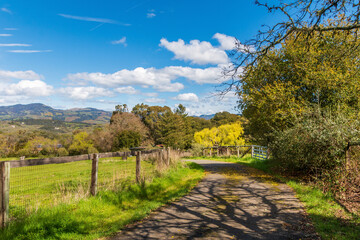 A dirt road is going down the middle of the picture. A large tree is on the right and a wire fence on the left. Yellow trees and grass are in the back. A blue and clouds.