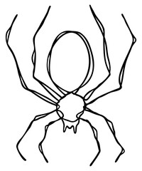 Spider Line Art | Halloween Spooky Season | Arachnid Creepy Crawly | Black One Line Drawing