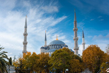 Fototapeta na wymiar Autumnal view of the Blue Mosque, Istanbul, Turkey