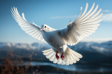 Fototapeta premium White Dove of Peace. Close-up of a white dove in flight, representing the universal symbol of peace. Generative Ai.