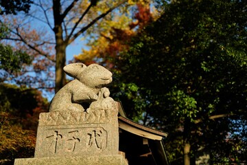 うさぎ、ウサギ、兎、調神社、神社、埼玉県、うさぎ神社、日本、神道、建物、狛うさぎ、彫刻、石像、動物、建物、参拝、初詣、お祈り、詣で、信仰、